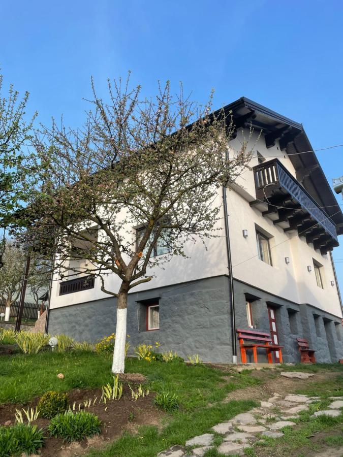 Cazare La Mitica Subcetate  Exterior foto